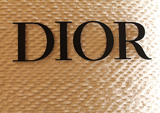 Dior World Project